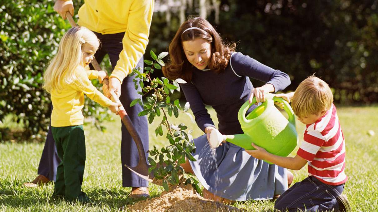Jardinería para niños