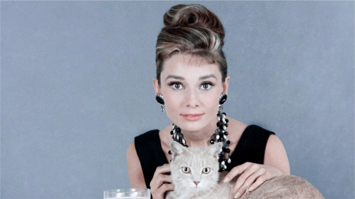 Audrey Hepburn: amante de John F. Kennedy