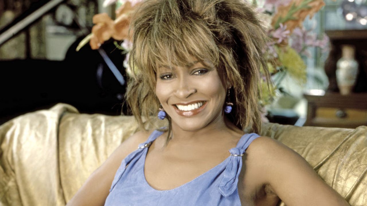 hijos tina turner